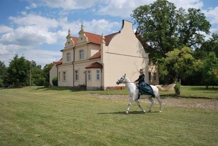 Eine Reiterin auf einem weißen Pferd vor Schloss Zerben. 