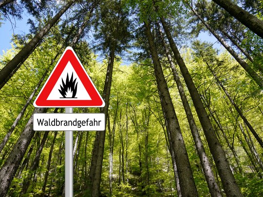 Titelbild: Waldbrandgefahr steigt